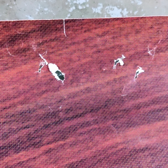 Vintage Rare 1981 Original Meat Loaf Promo Poster - Picture 7 of 8